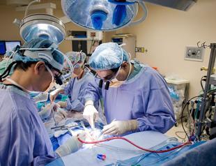 Turkey’s first indigenous cardiac support system tested on pigs