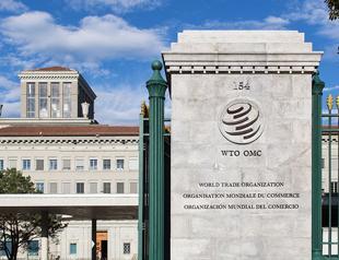 Mexico to file WTO complaint over US tariffs: Ministry