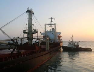 First food aid in weeks docks at rebel-held Yemen port: WFP