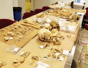 Lab studies Conducted to determine ancient relatives