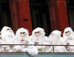 New report reveals bear facts about the Yeti