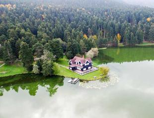 Planned construction in national park in Turkey’s Bolu draws criticism