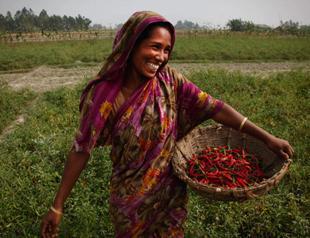 Bangladesh arrests cleric over fatwa against women farming