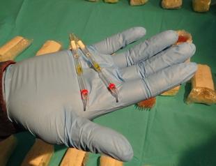 Istanbul police seize 1,725 tubes of cobra venom worth 30 million liras