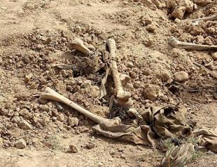 Two Ezidi mass graves uncovered in northern Iraq: Mayor