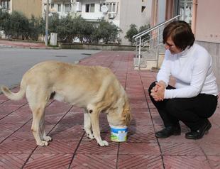 Woman attacked for feeding stray animals in Turkey’s Manisa