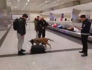 Turkish police use dogs to search belongings of Dutch passengers at Istanbul airport