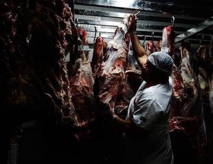 Sudanese minister offers to export cheaper meat to Turkey