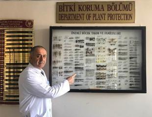 Turkish scientist discovers new insect, names it after father