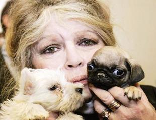 Brigitte Bardot announces book, slams Macron