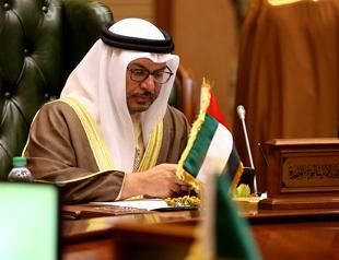 In first remarks since retweet feud, UAE diplomat says Arabs won’t be led by Turkey