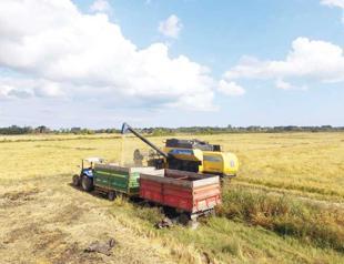 Turkey experiencing worst drought in 44 years: Minister