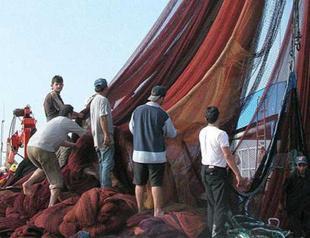 Overfishing, pollution, destructive fishing practices ‘leave Turkish seas bare’