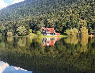 Tender held for construction in natural park in Turkey’s Bolu cancelled, mayor says