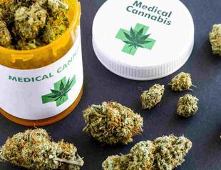 Australia to permit medicinal cannabis exports in bid to capture lucrative market