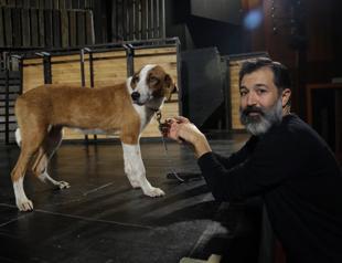 Shelter dog steals spotlight in ‘Of Mice and Men’