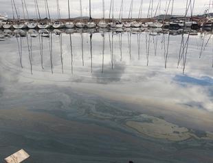 Fuel oil spills into Aegean Sea, Turkish pier sealed