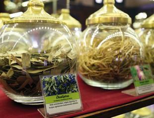 Hatay’s Medical Aromatic Plants Museum resembles pharmacy