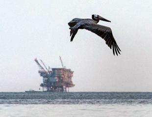 US ‘to overtake Saudi as top oil producer’