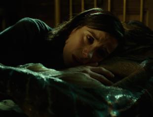 The Shape of Water wins PGA best film ahead of Oscars