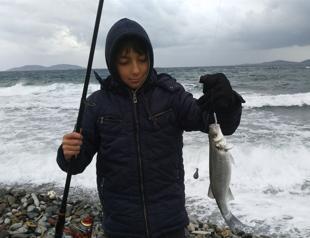 İzmir locals rush to sea to catch twenty tons of ‘runaway’ fish