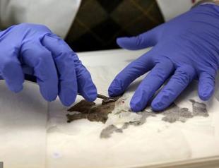 Israeli scholars decipher Dead Sea Scroll