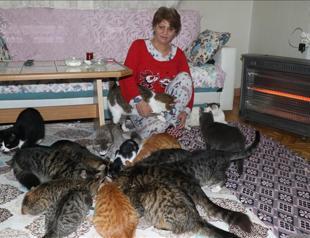 Kitty kingdom: Woman in northwest Turkey keeps house with dozens of cats