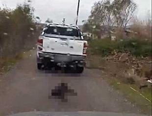 Man faces investigation for dragging dog to death in Turkey’s south