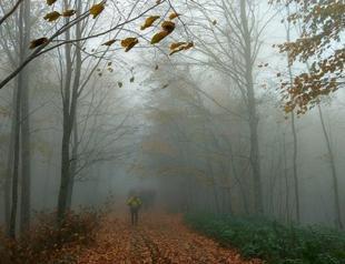 Environmentalists worried, locals unconcerned about mine expansion in Istanbul’s Çatalca