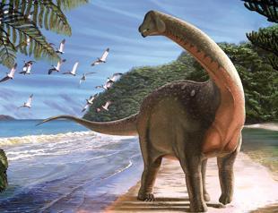 Fossil of school bus-sized dinosaur dug up in Egyptian desert
