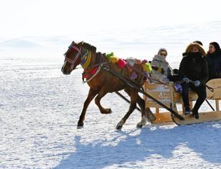 Horse-drawn sleighs gaining popularity in Turkey’s Kars