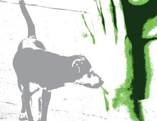 ‘Exile’ by Çiler İlhan