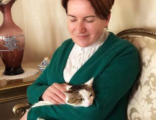 İYİ Party leader Meral Akşener adopts rape victim cat ‘Cedric’