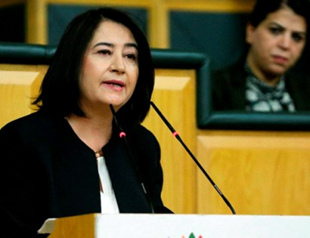 Turkey releases former HDP co-chair Serpil Kemalbay