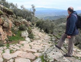Ancient road destroyed to make way for villagers’ olive groves in Aydın