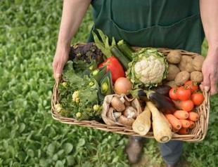 Association says Turkey haven for organic farming, calls for policies to boost sector