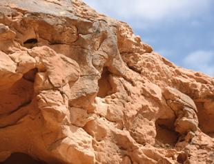 Mysterious ancient camel structures in Saudi desert