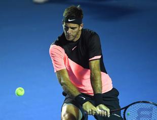 Del Potro downs Anderson in Acapulco final for 21st title