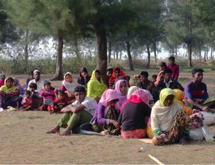 ‘Ethnic cleansing of Rohingya continues’