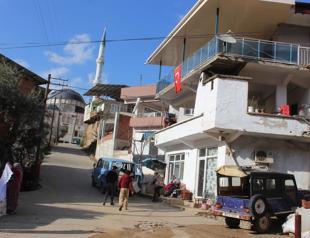 Neighborhood in Turkey’s west taken under quarantine after attack of cat with rabies