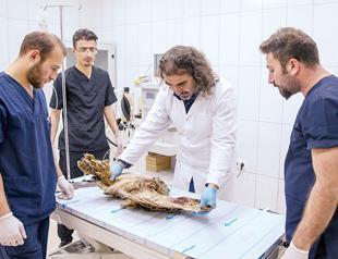 Wild animals recover in rehabilitation center in Van