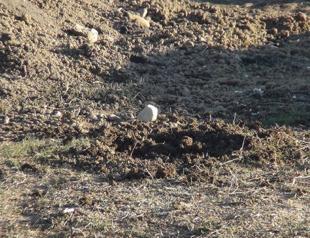Ten-year-old boy killed after object he picked up explodes in Turkey’s southeast