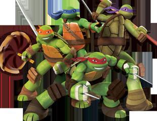 Ninja Turtles in Istanbul