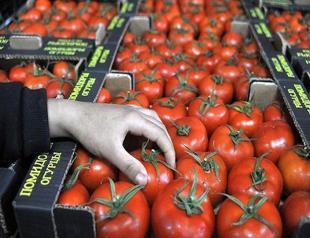Turkey objects to Russia’s import quota on tomatoes