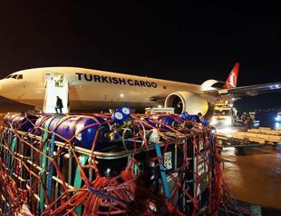 100 tons of baby sea breams airlifted to Oman from Turkey