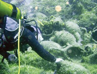 New project to boost Turkish diving tourism