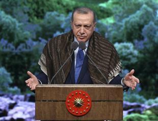 Turkey will not stop in Syria until terror threat ends: Erdoğan