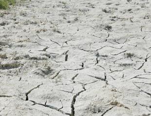 Wetlands of Turkey dried up by half in 40 years: NGO