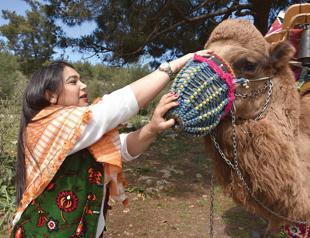 Bodrum’s women carry on tradition of cameleering