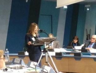 Ex-mayor Leyla İmret sought for terror links in Turkey speaks at Council of Europe